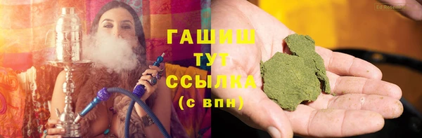 стаф Алзамай