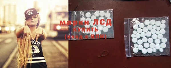 стаф Алзамай