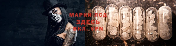 стаф Алзамай