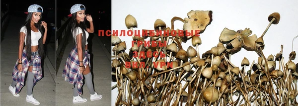 каннабис Алексин