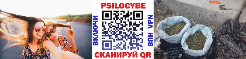 Галлюциногенные грибы мухоморы  MEGA ссылки  Крымск  магазин  наркотиков 