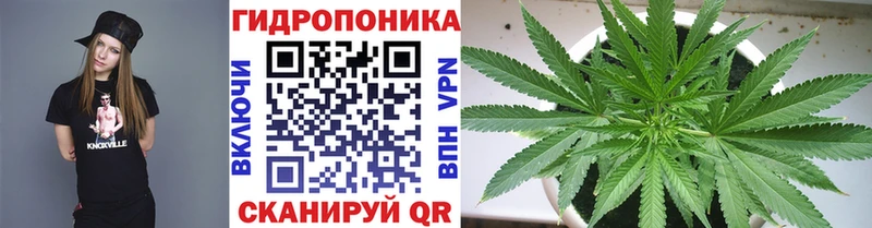 МАРИХУАНА сатива Крымск